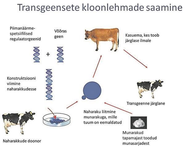 Eesti teadlaste panus bioravimitööstusse