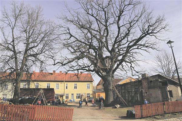 Viljandi vanalinna romantilised õued