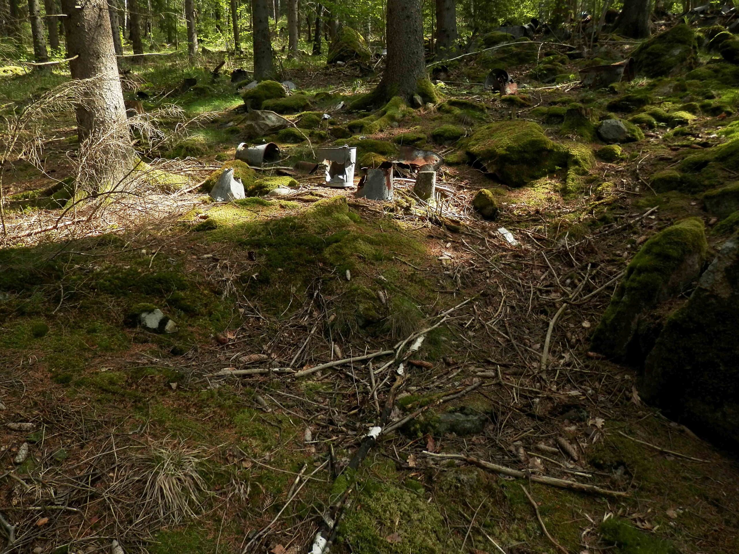 Urmas Lüüsi näitus „Verest ja rauast“